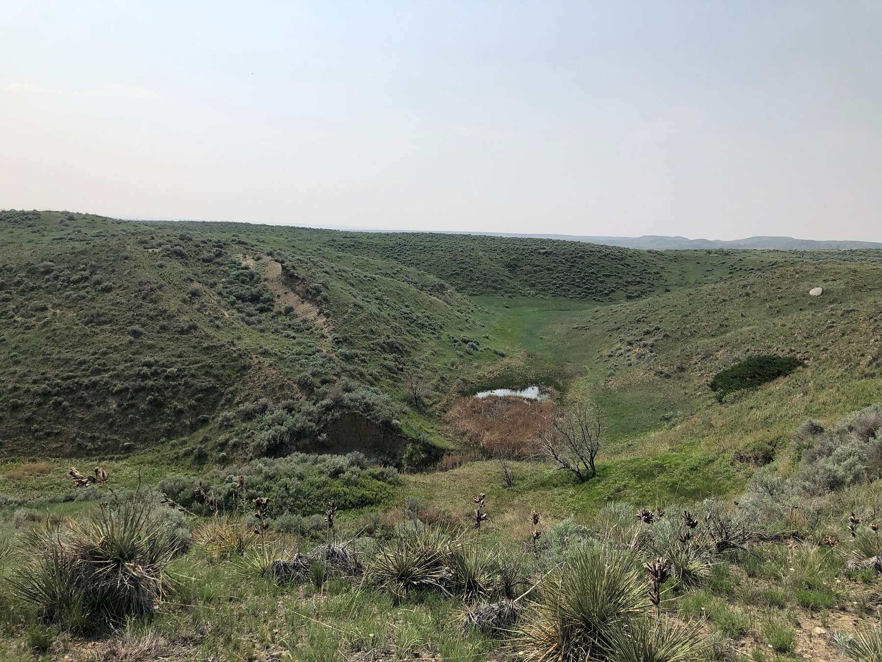 320 Acres of Land for Sale in Malta, Montana