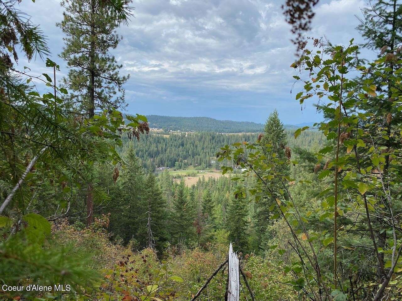 24.5 Acres of Land for Sale in Coeur d'Alene, Idaho