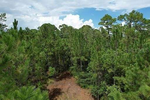 3.9 Acres of Land for Sale in Christmas, Florida