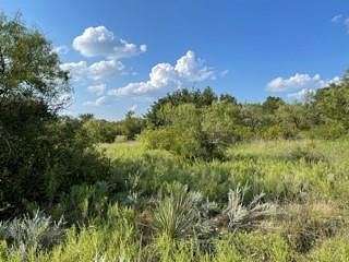 0.228 Acres of Land for Sale in Brownwood, Texas