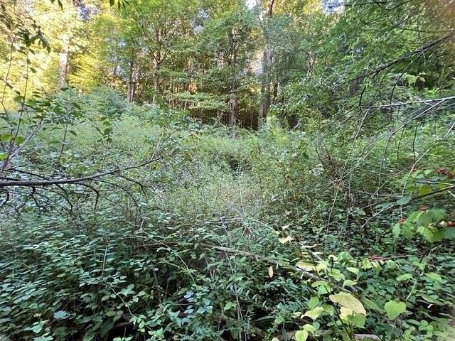 9.6 Acres of Residential Land for Sale in Bluefield, West Virginia