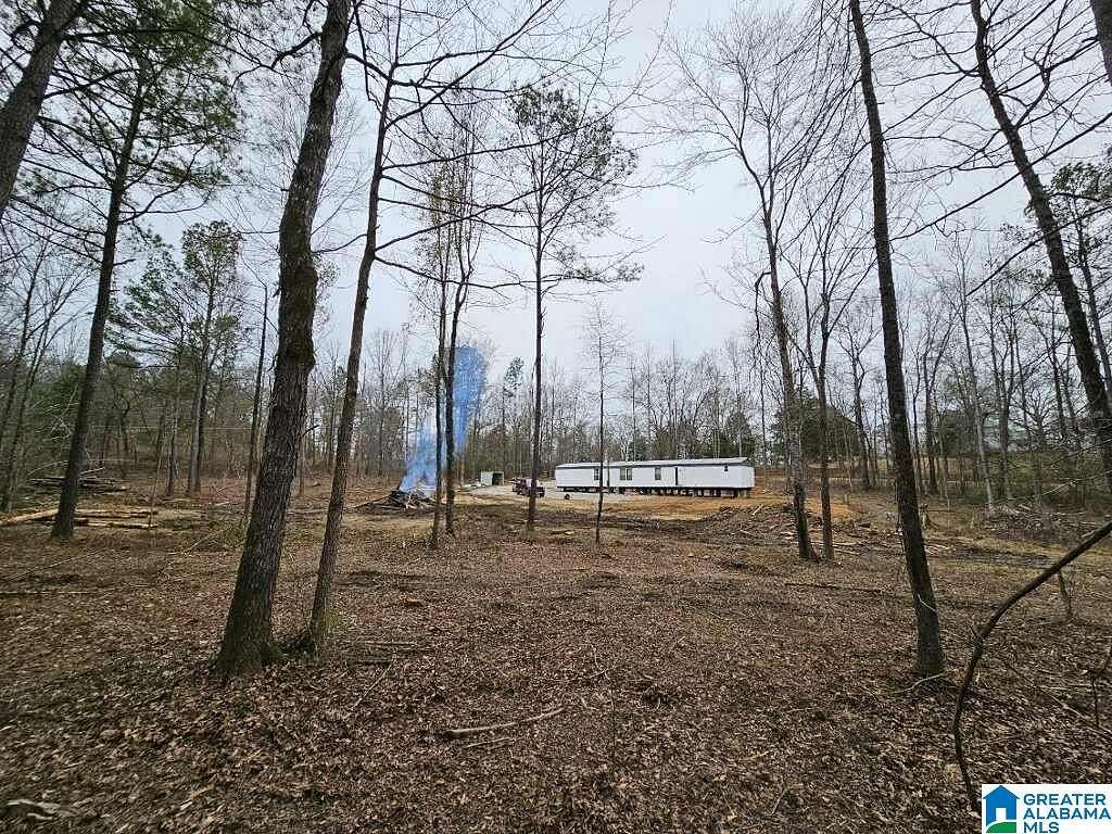 4.9 Acres of Residential Land for Sale in Wilsonville, Alabama