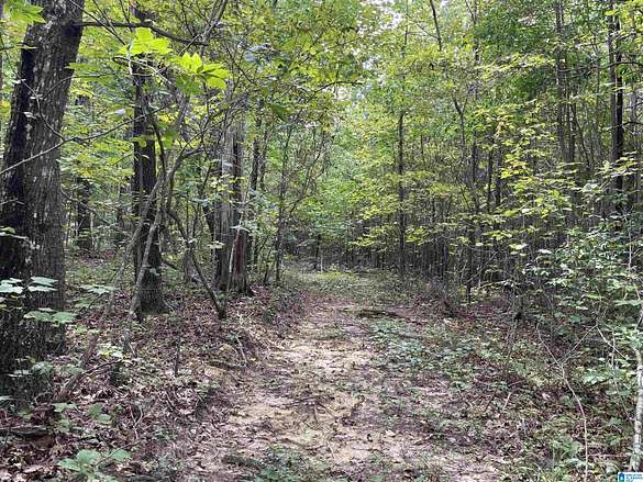 25 Acres of Recreational Land for Sale in Piedmont, Alabama
