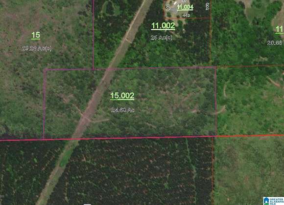 24.6 Acres of Recreational Land for Sale in Alpine, Alabama