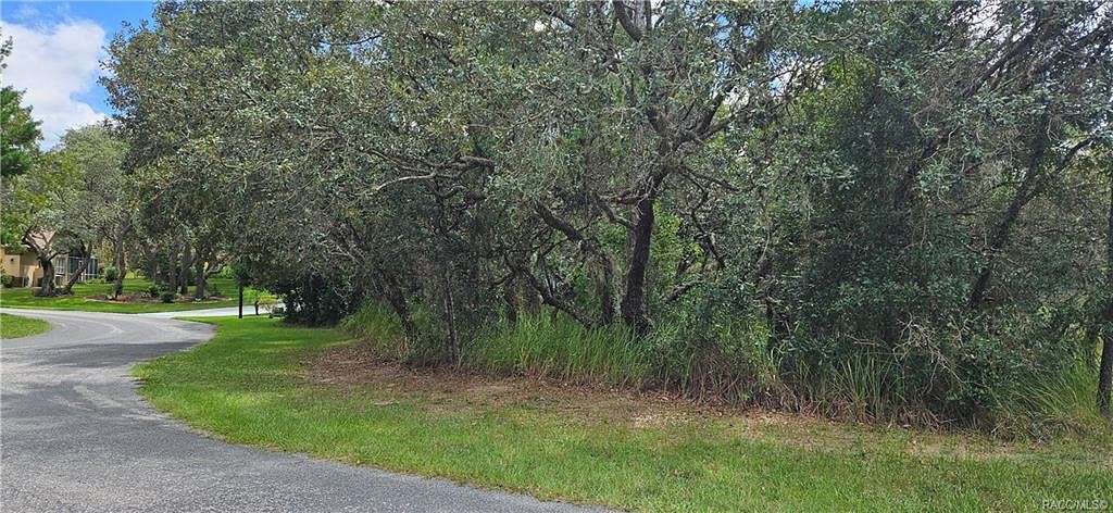 0.35 Acres of Residential Land for Sale in Homosassa, Florida