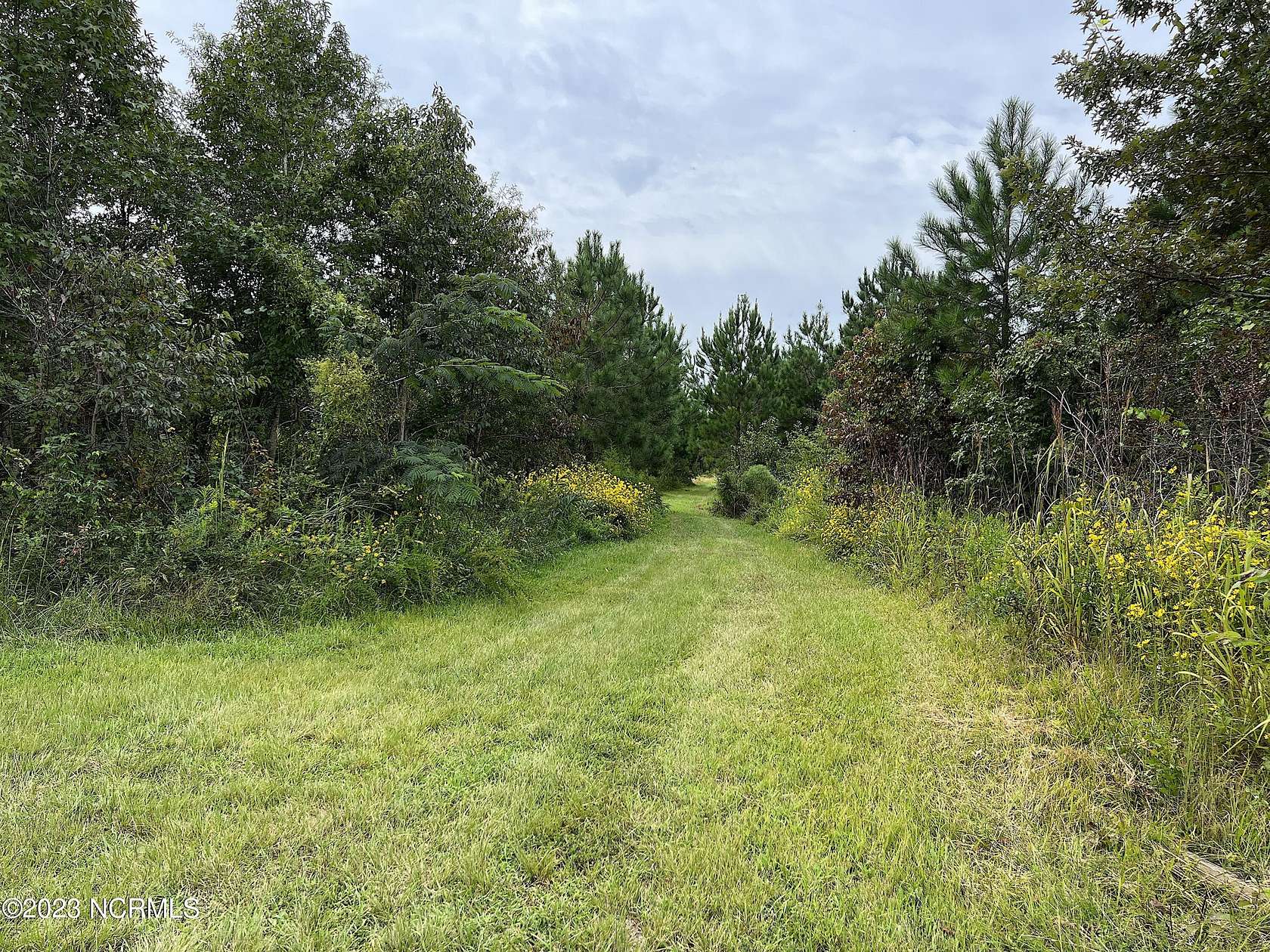 38 Acres of Recreational Land & Farm for Sale in New Bern, North Carolina
