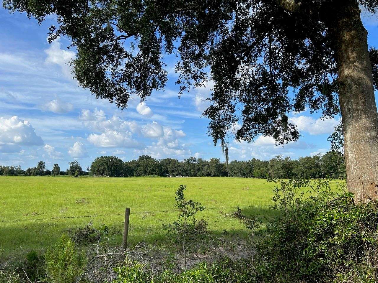 15 Acres of Agricultural Land for Sale in Trenton, Florida