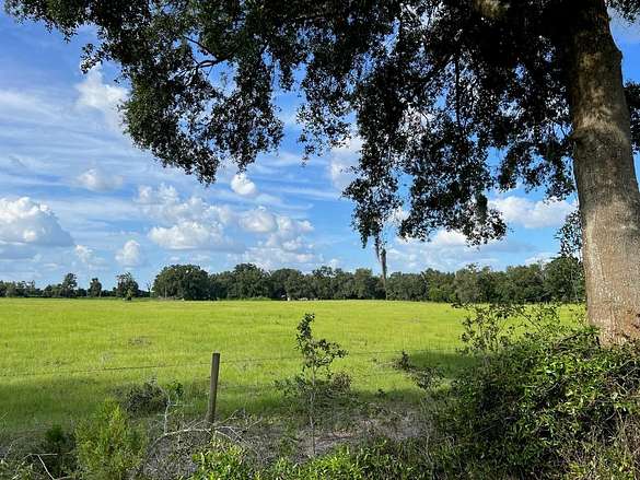 15 Acres of Agricultural Land for Sale in Trenton, Florida