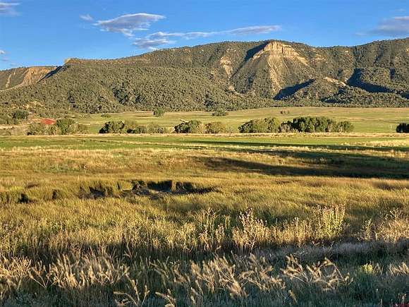 29.9 Acres of Land for Sale in Mancos, Colorado