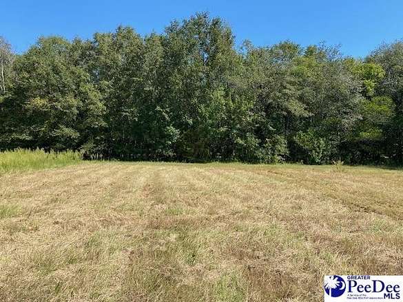2.6 Acres of Residential Land for Sale in Latta, South Carolina
