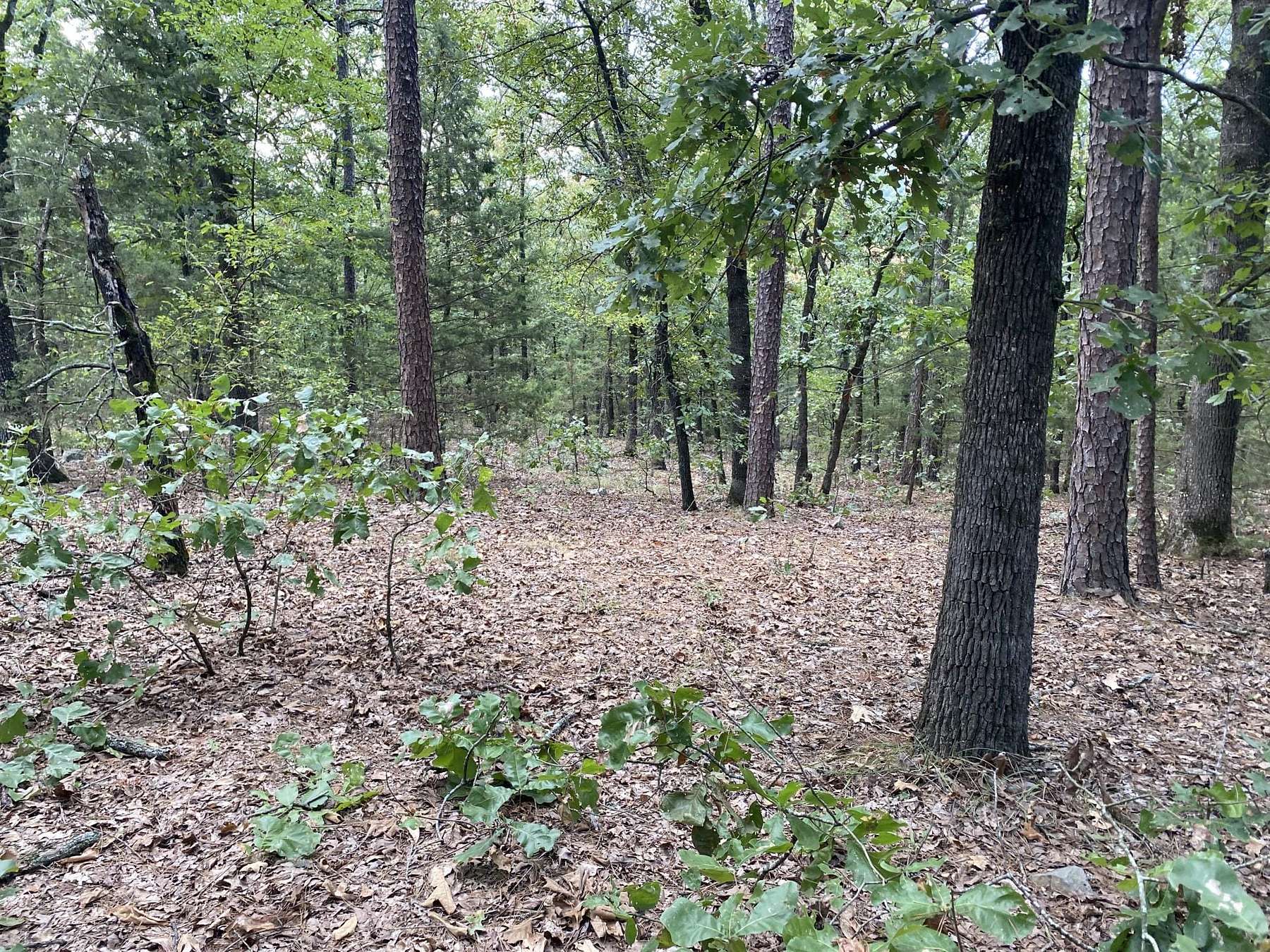 17 Acres of Recreational Land for Sale in Blue Mountain, Arkansas