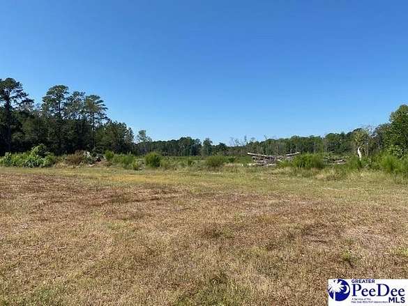 22.1 Acres of Land for Sale in Latta, South Carolina