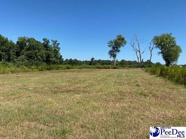 5.9 Acres of Residential Land for Sale in Latta, South Carolina