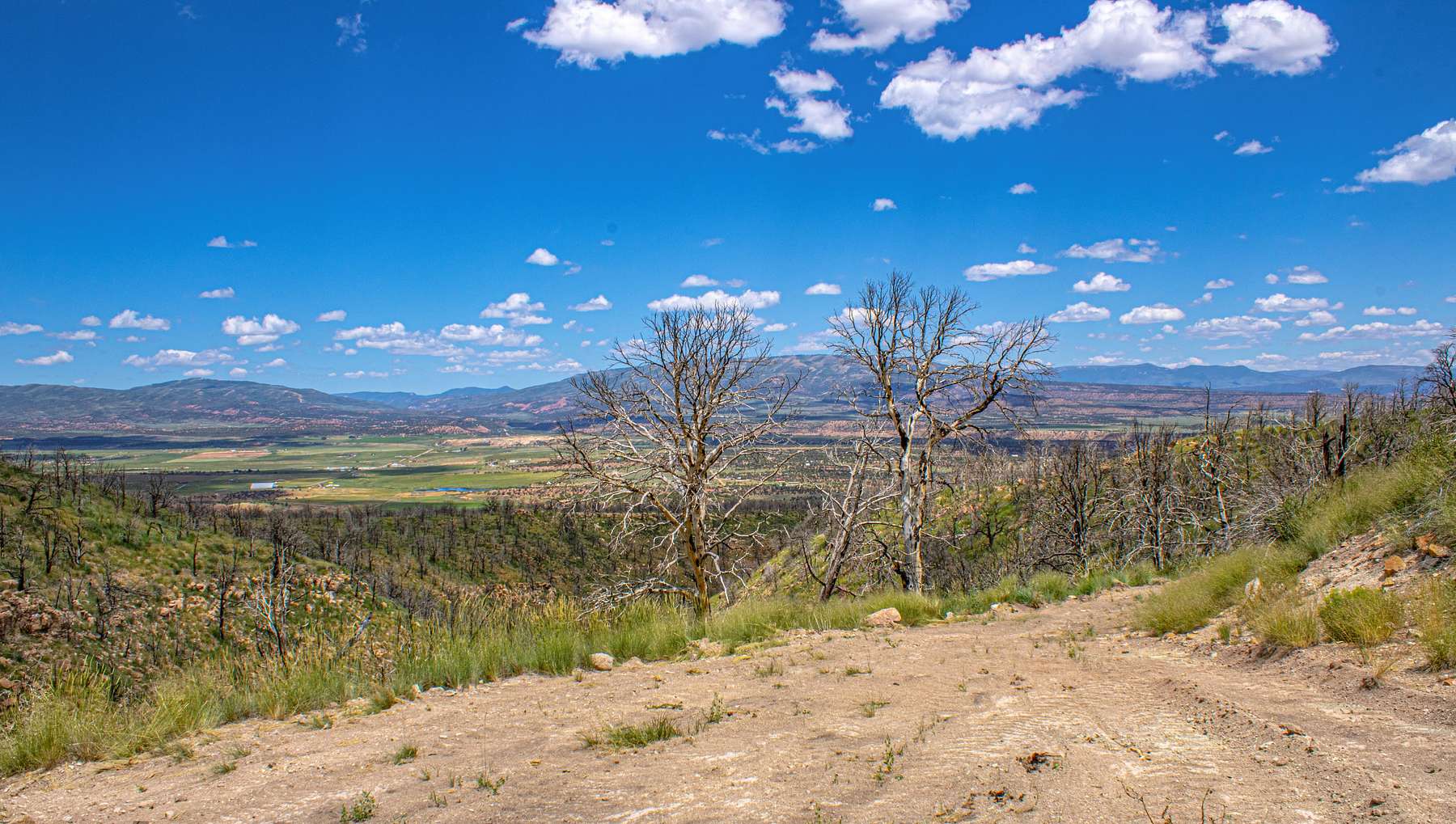8.7 Acres of Land for Sale in Fruitland, Utah LandSearch