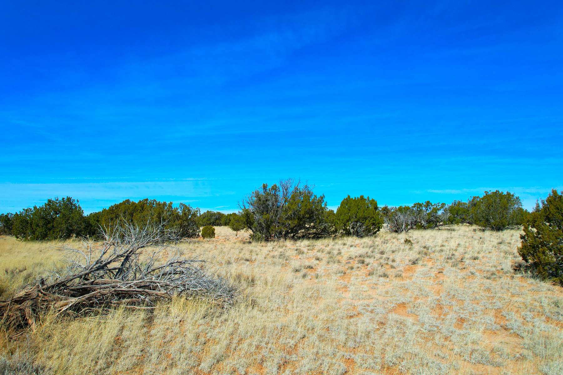40 Acres of Recreational Land for Sale in St. Johns, Arizona LandSearch
