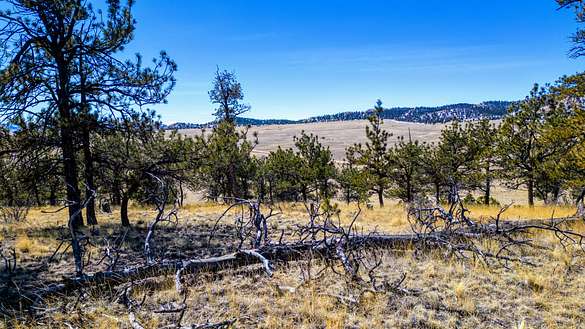 5 Acres of Land for Sale in Hartsel, Colorado