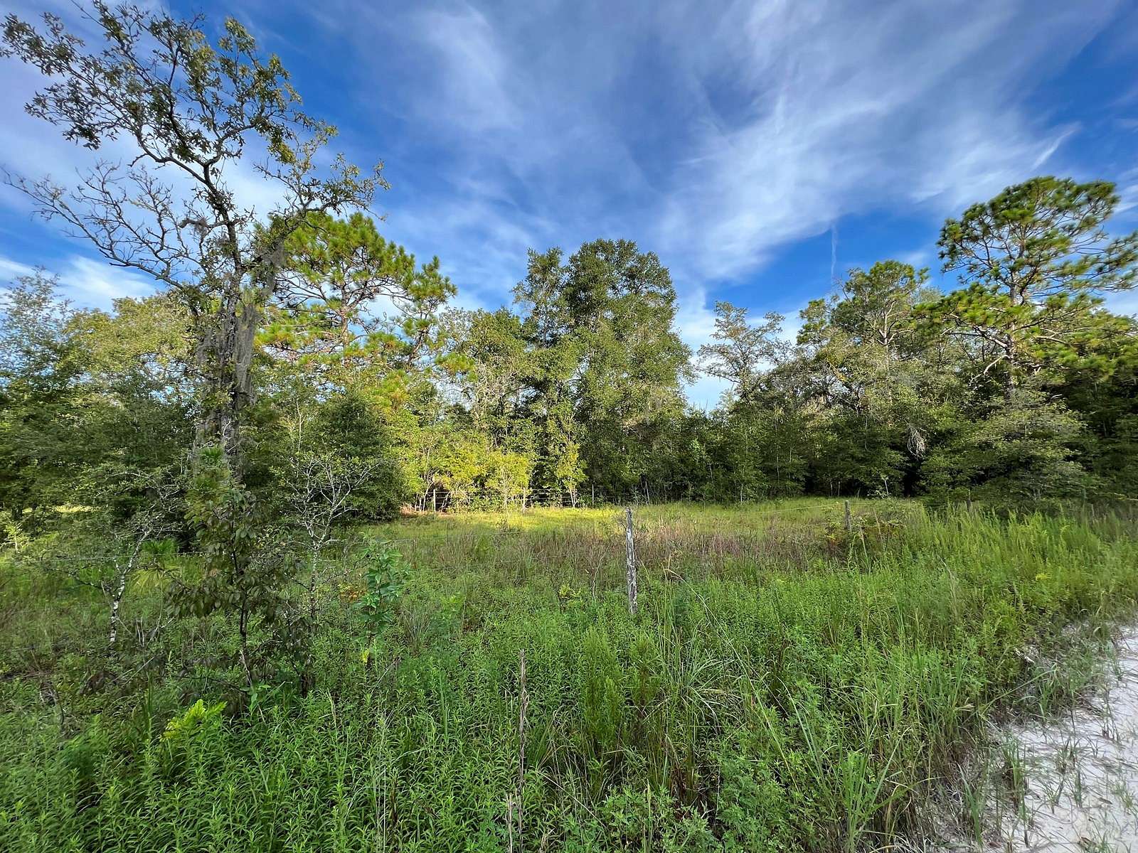 10 Acres of Recreational Land for Sale in Bell, Florida