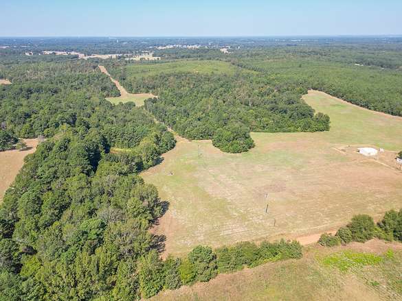 68.4 Acres of Land for Sale in Naples, Texas