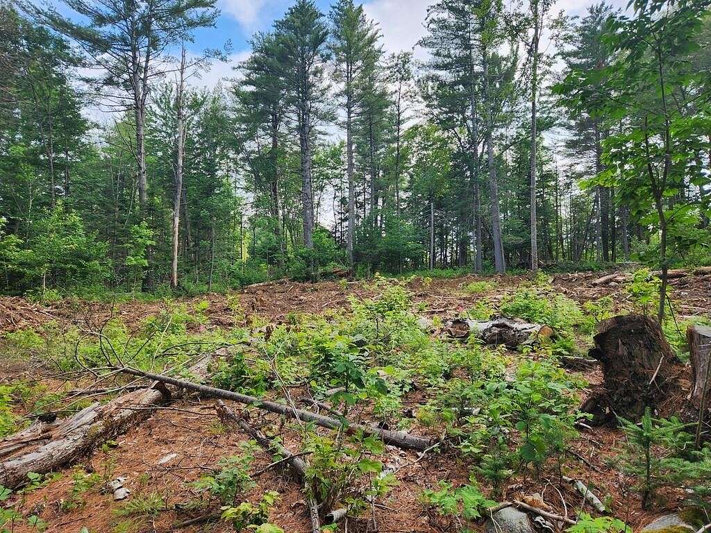3.5 Acres of Land for Sale in New Portland, Maine