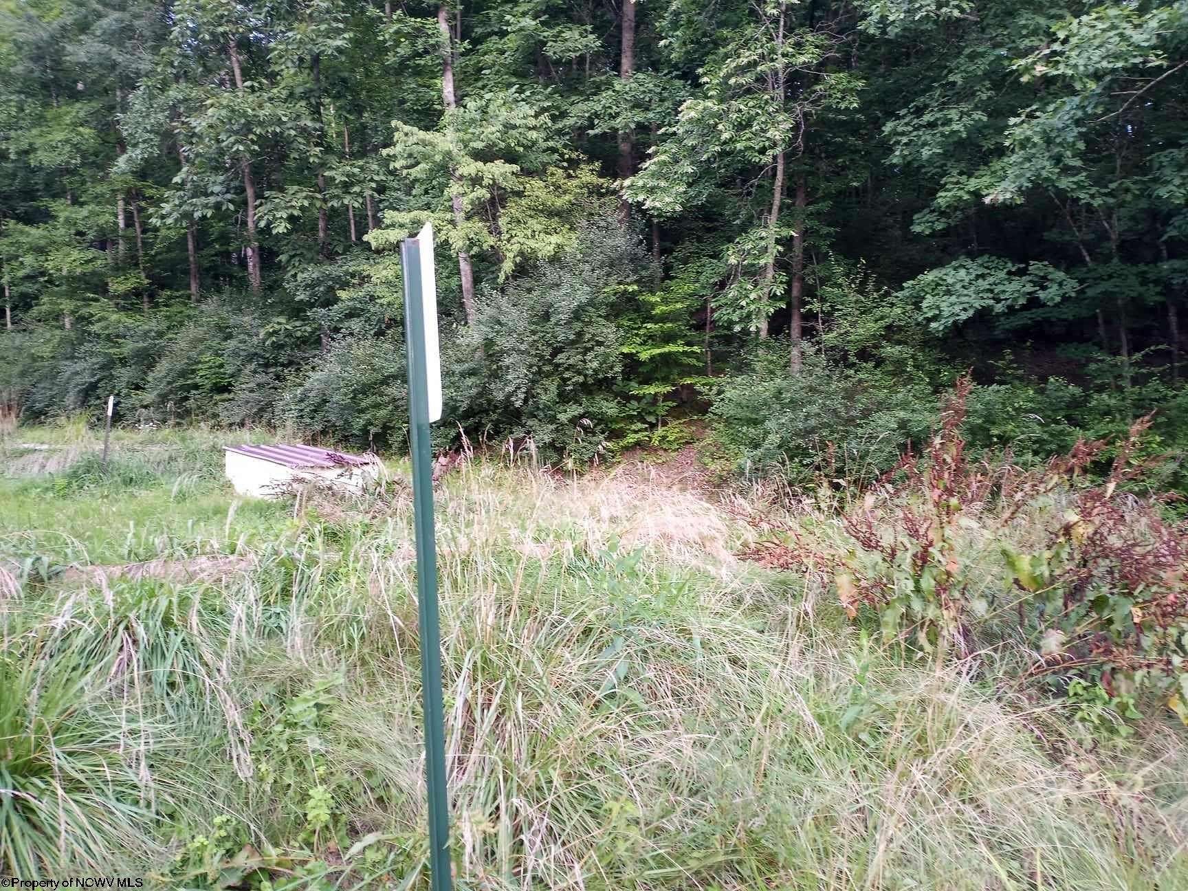 12.3 Acres of Land for Sale in Weston, West Virginia