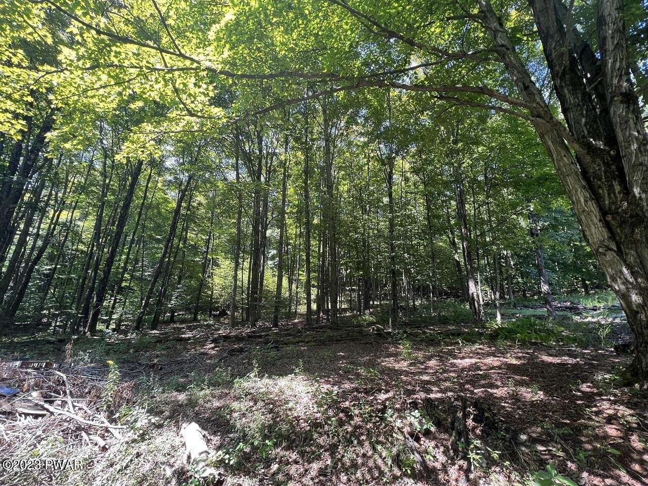 7 Acres of Land for Sale in Newfoundland, Pennsylvania