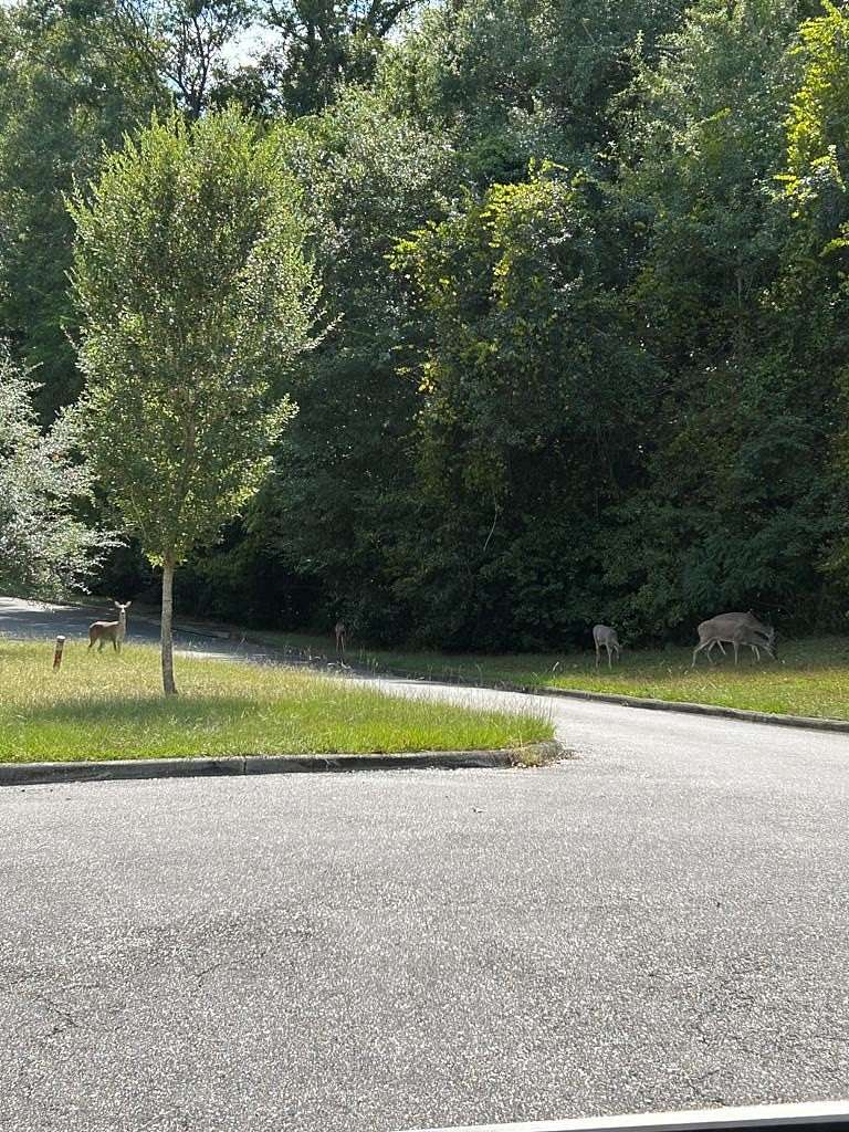 0.56 Acres of Residential Land for Sale in Eufaula, Alabama