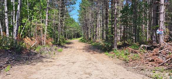 52.6 Acres of Recreational Land for Sale in Orr, Minnesota