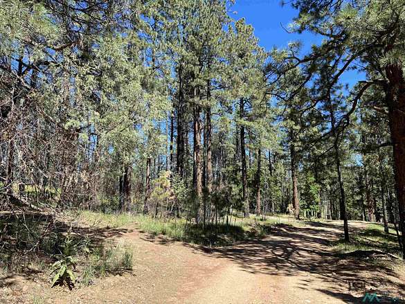 1.3 Acres of Residential Land for Sale in Rociada, New Mexico