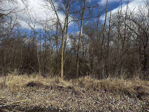 0.35 Acres of Residential Land for Sale in Orland Park, Illinois