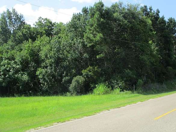 20.5 Acres of Commercial Land for Sale in Amite, Mississippi