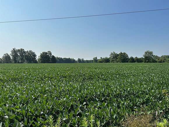 5 Acres of Land for Sale in Winchester, Ohio