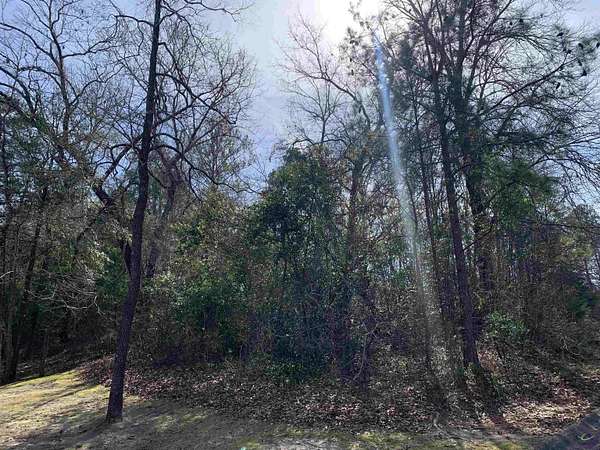 0.82 Acres of Residential Land for Sale in Warner Robins, Georgia