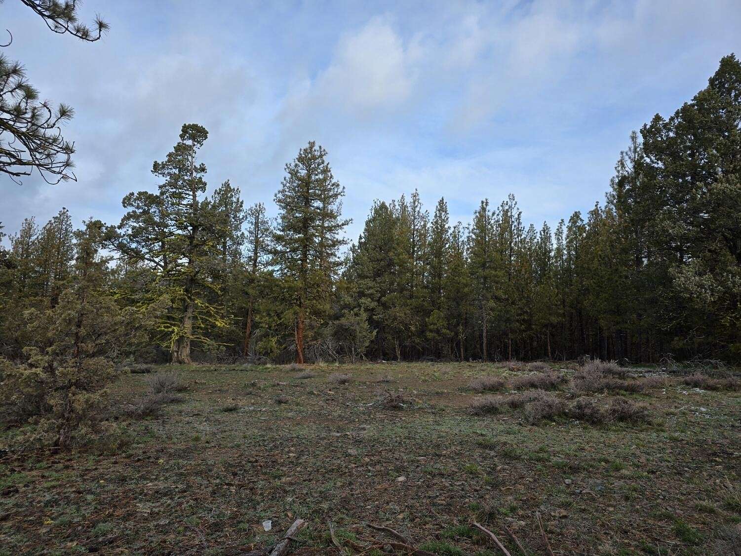4.6 Acres of Residential Land for Sale in Bonanza, Oregon
