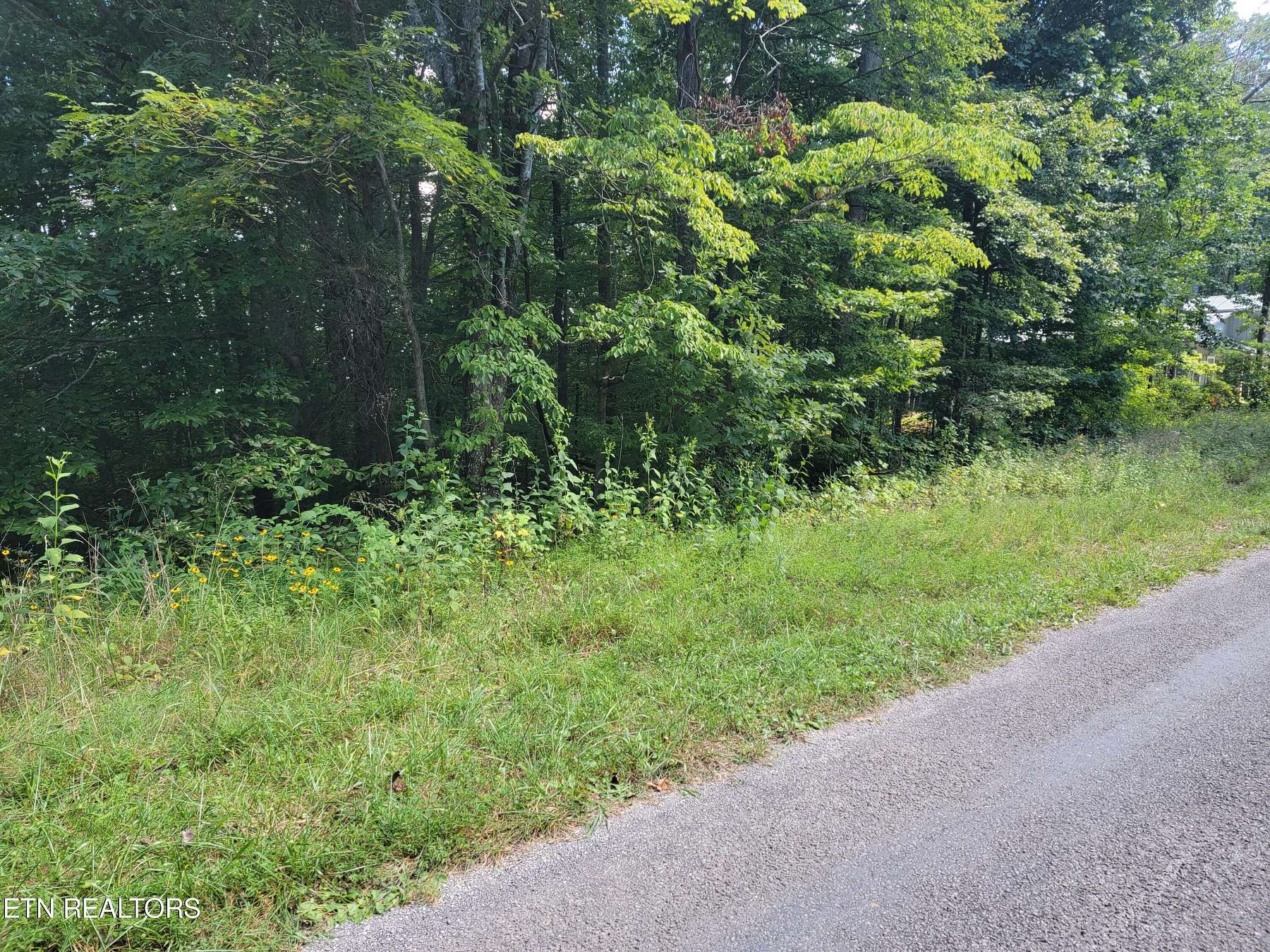 0.01 Acres of Land for Sale in Maynardville, Tennessee