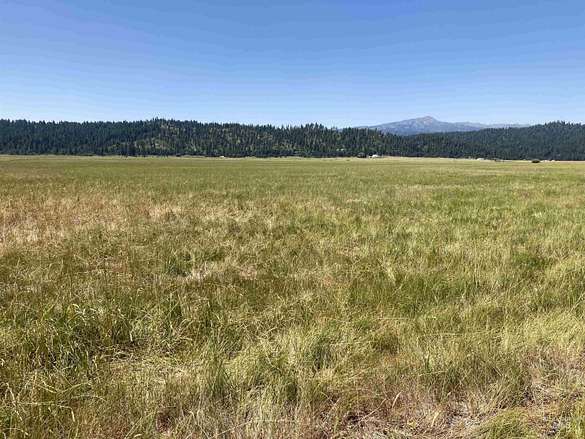 49.3 Acres of Agricultural Land for Sale in Cascade, Idaho