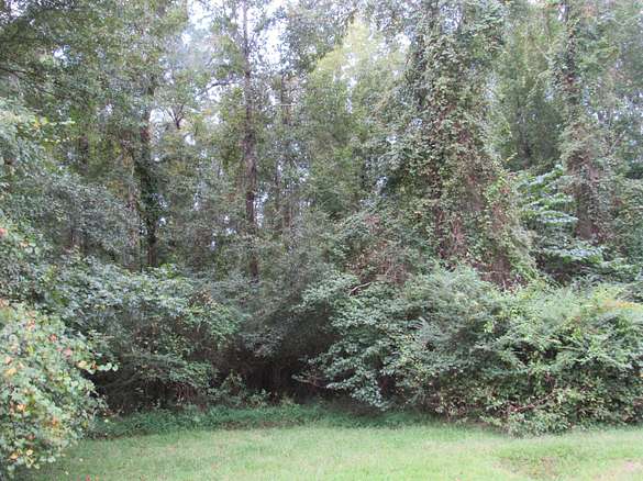 0.75 Acres of Land for Sale in Columbus, Mississippi