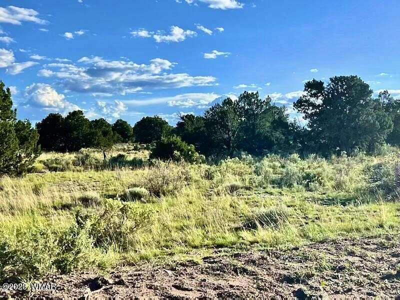 40.3 Acres of Recreational Land for Sale in St. Johns, Arizona