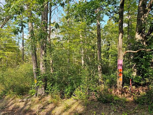 7 Acres of Residential Land for Sale in Big Flats, New York
