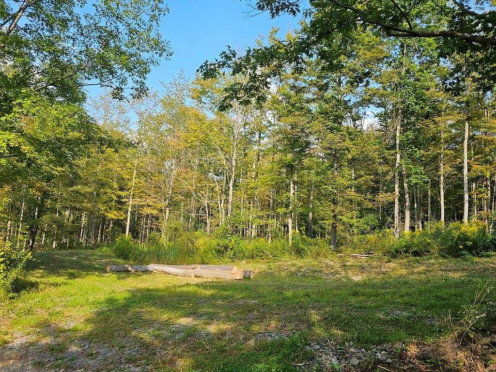 5.1 Acres of Residential Land for Sale in Big Flats, New York
