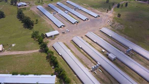 20 Acres of Improved Agricultural Land for Sale in Mena, Arkansas