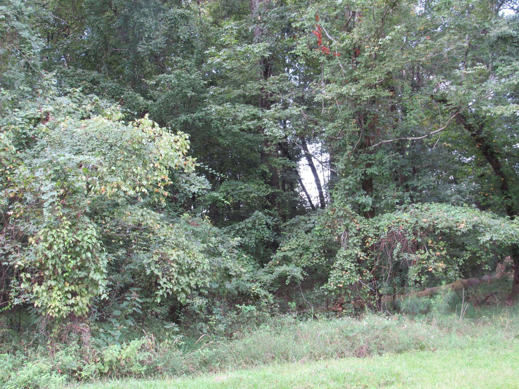 0.76 Acres of Residential Land for Sale in Columbus, Mississippi