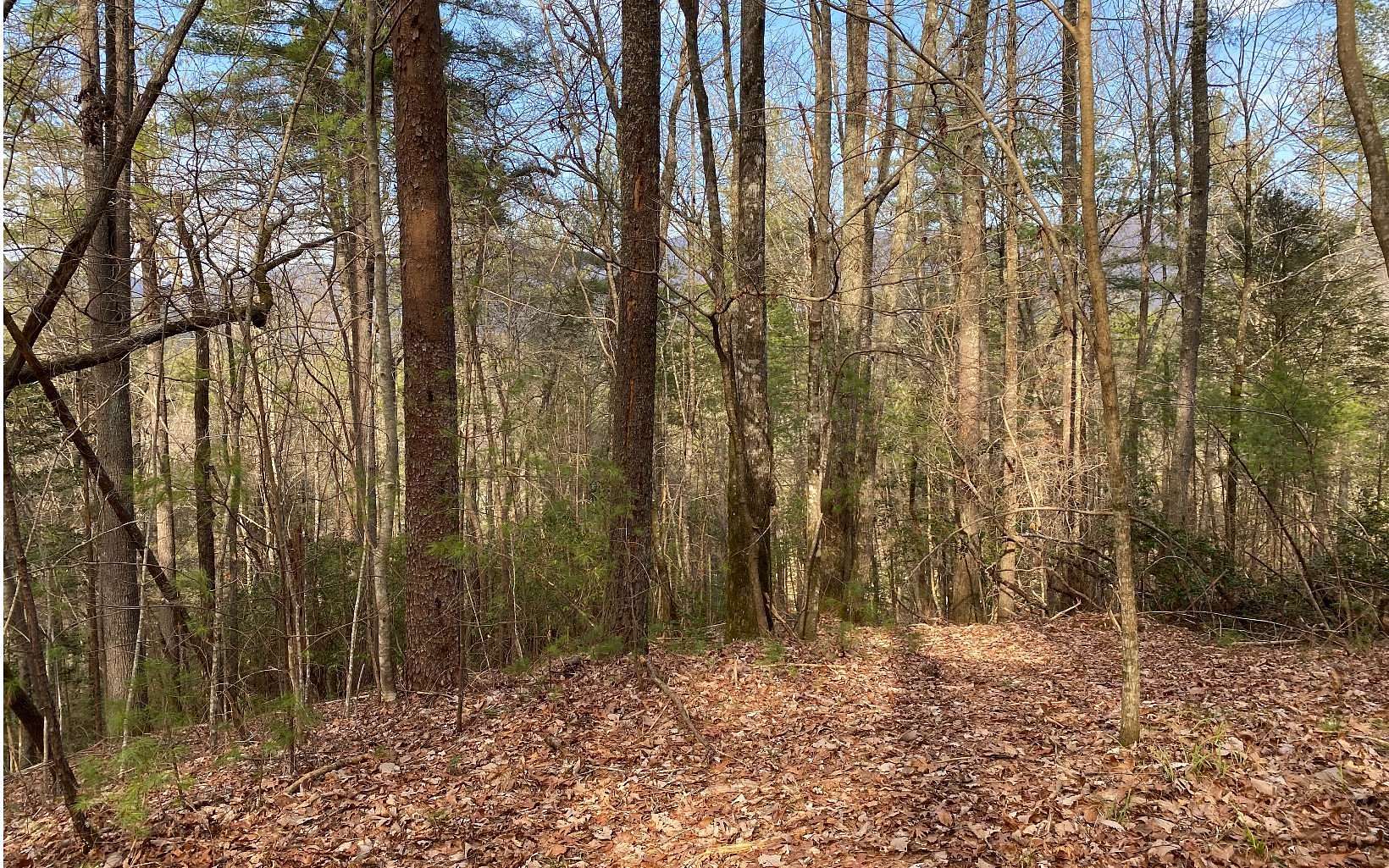 1.9 Acres of Land for Sale in Ellijay, Georgia