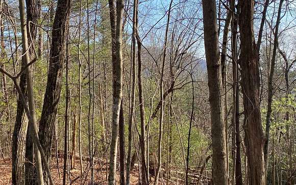 5.8 Acres of Land for Sale in Ellijay, Georgia