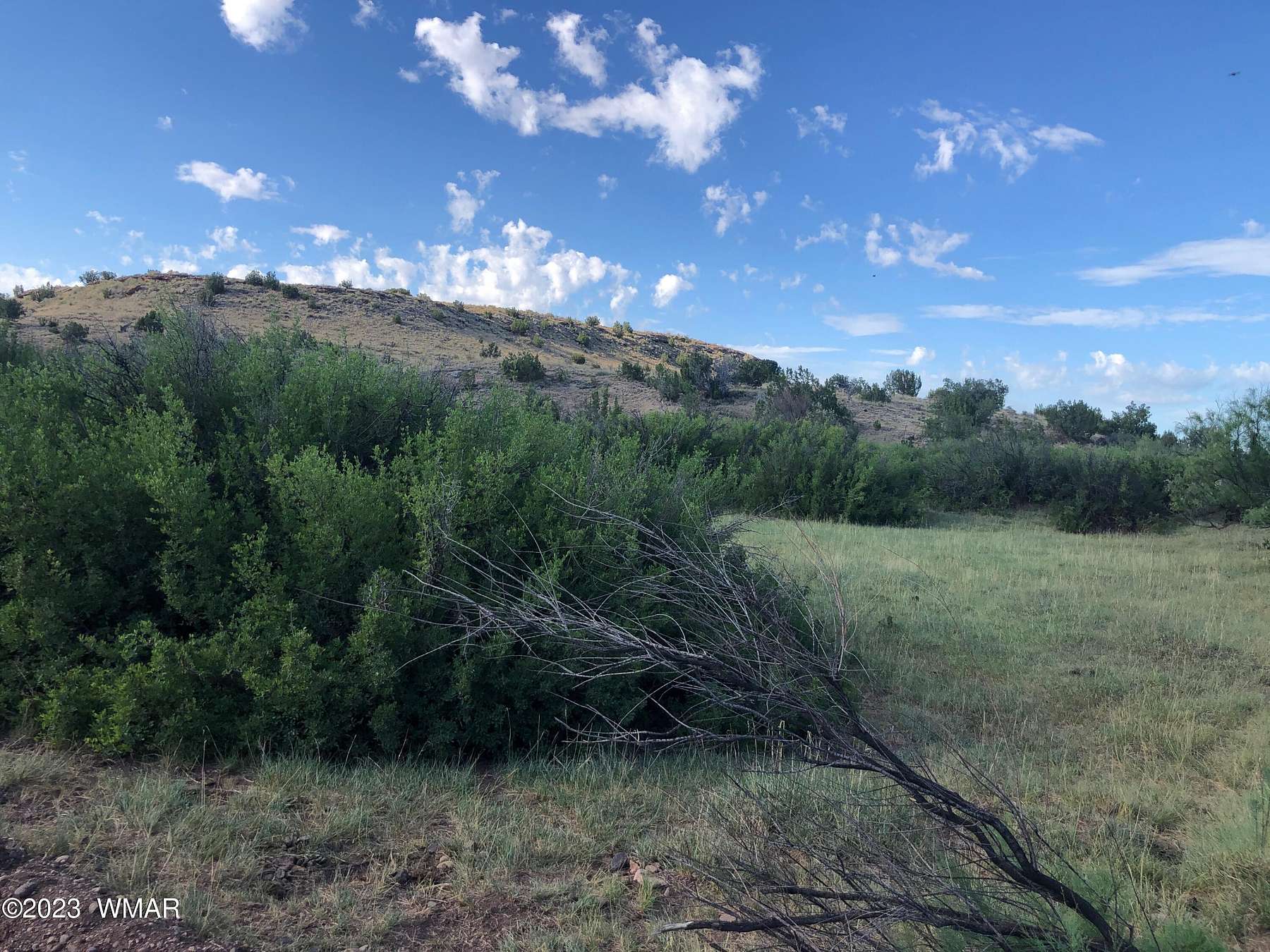 38 Acres of Recreational Land & Farm for Sale in St. Johns, Arizona