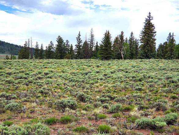 4.2 Acres of Residential Land for Sale in Powderhorn, Colorado