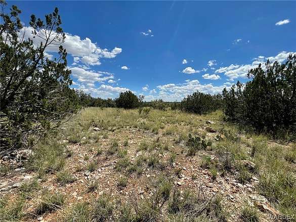 2 Acres of Land for Sale in Seligman, Arizona