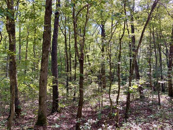 5 Acres of Land for Sale in Waverly, Tennessee