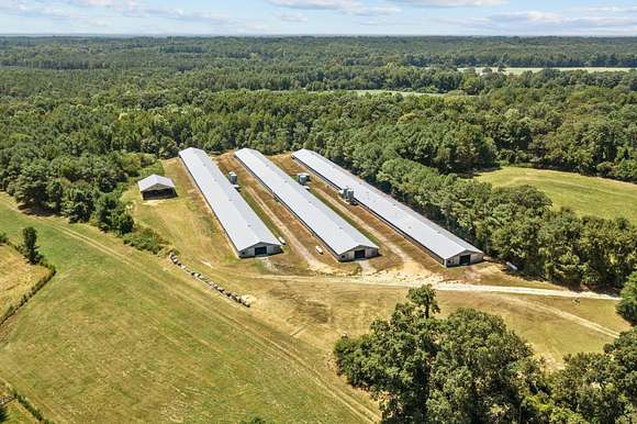 24.1 Acres of Agricultural Land for Sale in Broadway, North Carolina