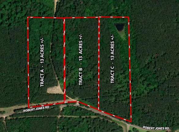 13 Acres of Recreational Land for Sale in Summit, Mississippi