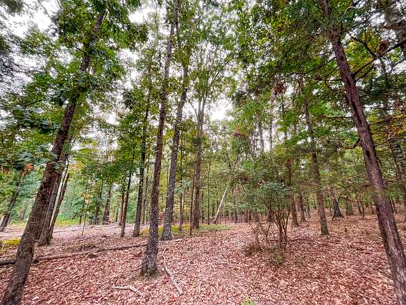 18.2 Acres of Recreational Land for Sale in Cave Spring, Georgia